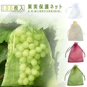 ʎ 100 ʎ | یlbg hlbg Q\h \h 悯lbg  ʎ В ʎ܃t[c ʋC   Ԃǂ Ȃ т ݂ | ܊| 悯 Q