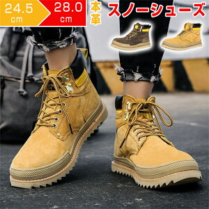 h {vYu[c CV[Y Xm[u[c Xj[J[ CY  JWAV[Y hC Ȃ ۉ Xj[J[u[c g  EB^[u[c C ~