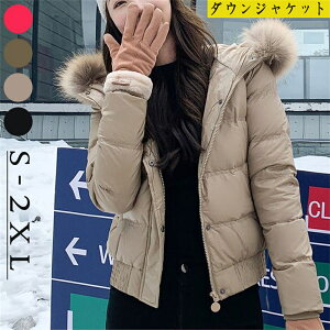 _EWPbg _ER[g fB[X V[g t@[t[h hR[g y ۉ Cg_E AE^[ g |Pbg 4F n IV  h΍ AEg ~ o f