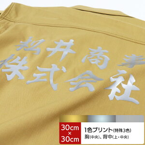 vgH-6 vgJ[FEE vgʒuFEwEw(30cm×30cm) y11z