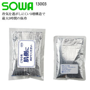 ۗ 1 200g 5Ԏ ACXxXgp ACXpbN 13003 Ka MǑ΍