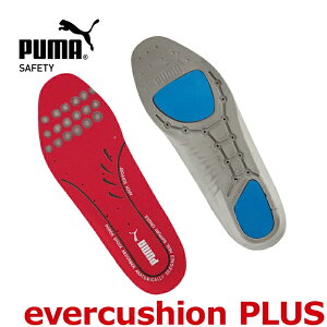 C\[ ~ v[} 204510 Go[NbVvX evercushion PLUS PORON ƌC 25cm-25.5cm-28cm
