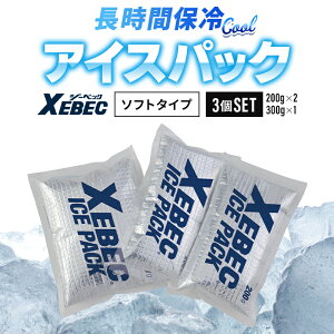 ۗ (A~^Cv) 3Zbg (200g 2/300g 1) 4Ԏ ACXxXgp ACXpbN 33012 W[xbN MǑ΍