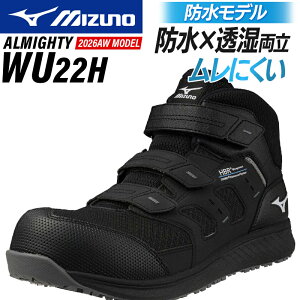安全靴 おしゃれ MIZUNO」の人気商品一覧・価格比較 - 価格.com