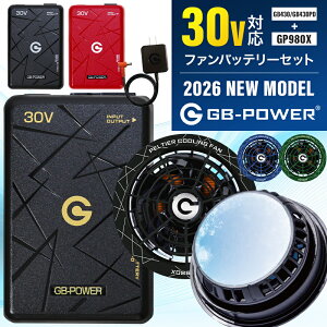 2026�N�V�^ ���M�W���p�� �o�b�e���[+�y���`�F�t�@�� �Z�b�g (GB430/GB430PD+GP980X �Z�b�g�̔�) �󒲍�ƕ� �t�@���t���E�F�A�p GB-POWER �M���Ǒ΍�