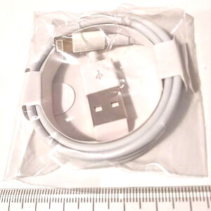 CgjO LightningRlN^ - USBP[u@i@1m@