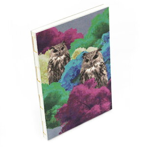 [TAG] GbO[NX m[gubN uؓeƔF_Rock Eagle Owl & European smoketreev EW0113 