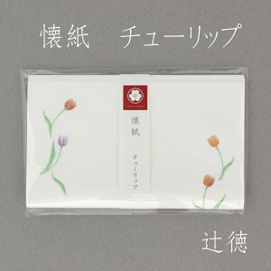 [ғ]  `[bv kaishi-il-tulip