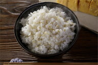 緑米「アクネモチ」 800g 古代米 もち 送料無料 ゆうパケット ポスト投函 宮城県産 令和7年産 未検査米 …