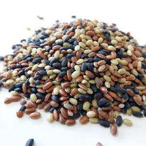 Ñ3~bNXuÑĂÂv 800g Ñ  䂤pPbg {錧Y ߘa6NY   Ε ԕ G͂  |tFm[ AgVAj ~l ^j N