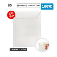 厚紙封筒 B5 100枚入 横225mm×縦290mm+封55mm
