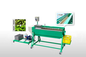 }A@ }cg MERS-500y38-245z