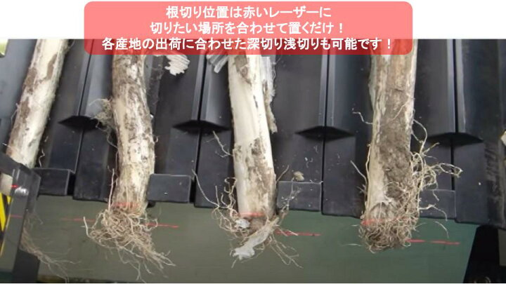 楽天市場】長ネギ根葉切り機 マツモト SKM型（スーパーKM）【38-59 