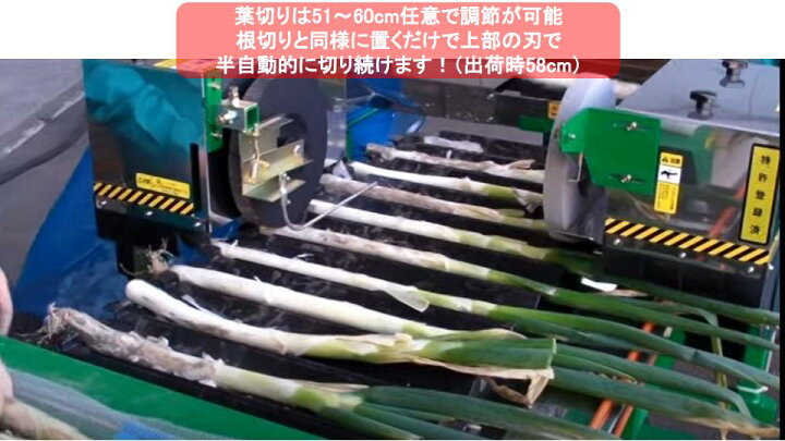 楽天市場】長ネギ根葉切り機 マツモト SKM型（スーパーKM）【38-59 