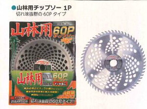 `bv\[ VZC 255×60P @p   R 4582193310075y121-208z