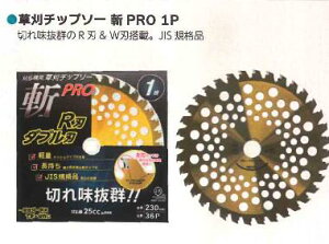 `bv\[ VZC 255×40P @p   R 4582572511215y121-212z