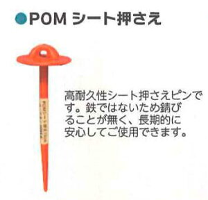 POM V[g  50P 20Zbg VZC sY 쎑 _Ǝ 4571191194923y121-361z