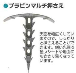 vs}` 10P 80Zbg VZC sY 쎑 _Ǝ 4571191190697y121-363z