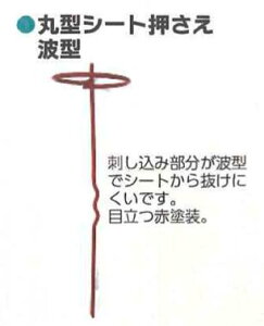 ی^V[g  g^ 10P 50Zbg VZC Y 핢 쎑 _Ǝ 4573459624340y121-368z