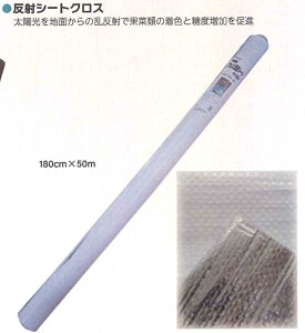 VZC 180*50 ˃V[g A~˃NX 2 4571191193070y121-457z