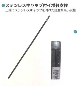VZC 25 x 2100mm |x XeXLbvtC{|x 25 4582193315070y121-611z