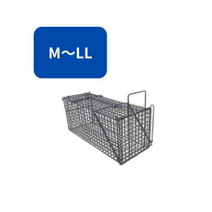 Aj}Lb`[ VZC LL ߊl Qb쏜 lY~ lY~߂ d|   쏜 Q 4582193313984y121-976z