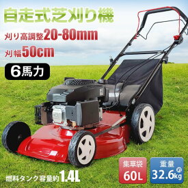 自走式芝刈り機 自走式 6馬力