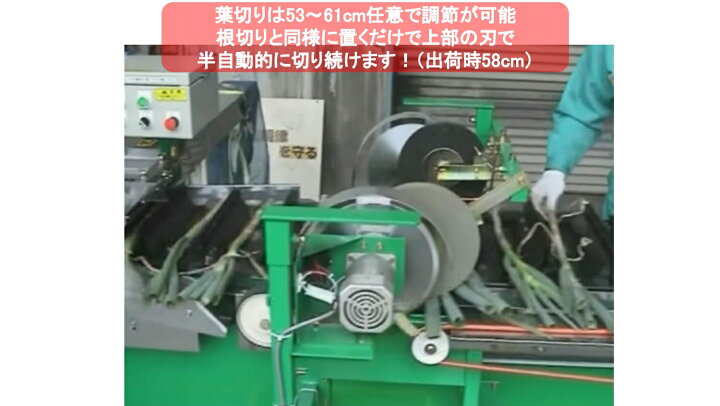 楽天市場】長ネギ根葉切り皮剥き機 マツモト ベストロボ MB-1D2-110C/P 