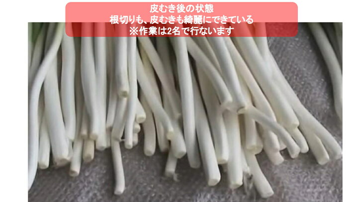 楽天市場】長ネギ根葉切り皮剥き機 マツモト ベストロボ MB-1D2-110C/P 