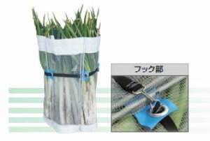 lM甍@ti }cg lMYy38-58z