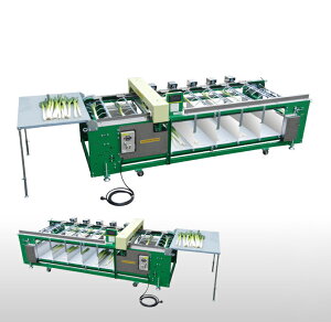 lMIʋ@ }cg MN-103^y38-74z