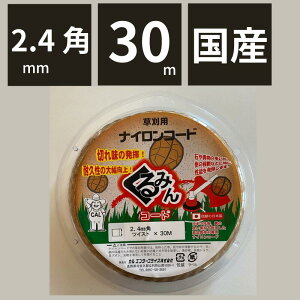 SP݂ JG^[vCY Xv[pbNij ݂ 2.4mm pcCXg 30m 1{y96-7z