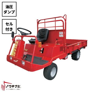 ^ꎩ  J81DPS }LjRy19-171z