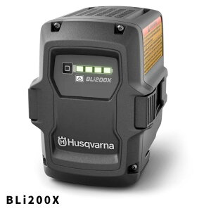 Li-ionobe[ BLi200X 970448901 nXNo[iy18-481z