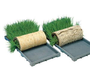 ˂͂V[g [  cA d  c  c }bgc cy32-77z