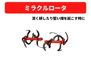 Ǘ@A^b`g ~N[^ 31307 11862 OH}qh_@y7-1985z