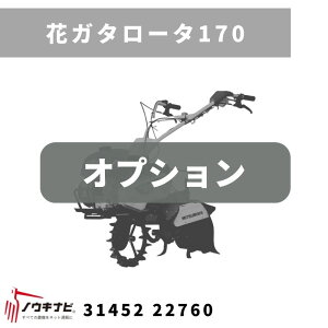 ֊Ǘ@ A^b`g ԃK^[^170 MSD 31452 22761 OH}qh_@y7-2215z