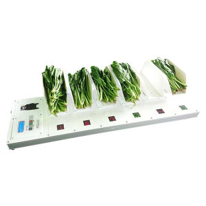 gݍ킹nJ e[uRra TC-0610-WM\}gNXLED^Cv I[P[vjO dʃNIʁy142-2z