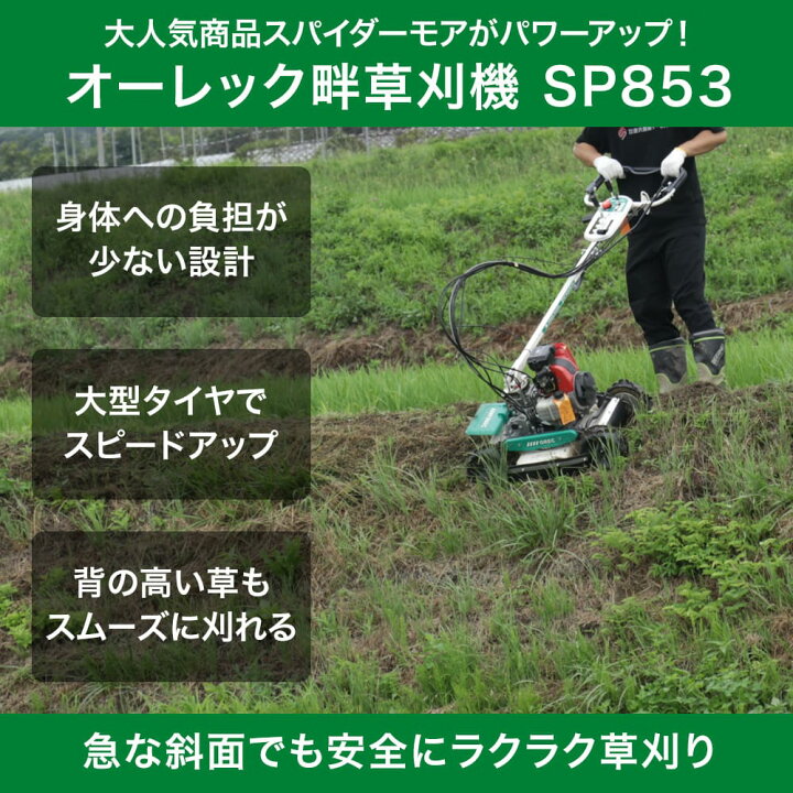 楽天市場】【在庫あり】 4月末までオイルプレゼント中 スパイダーモア 