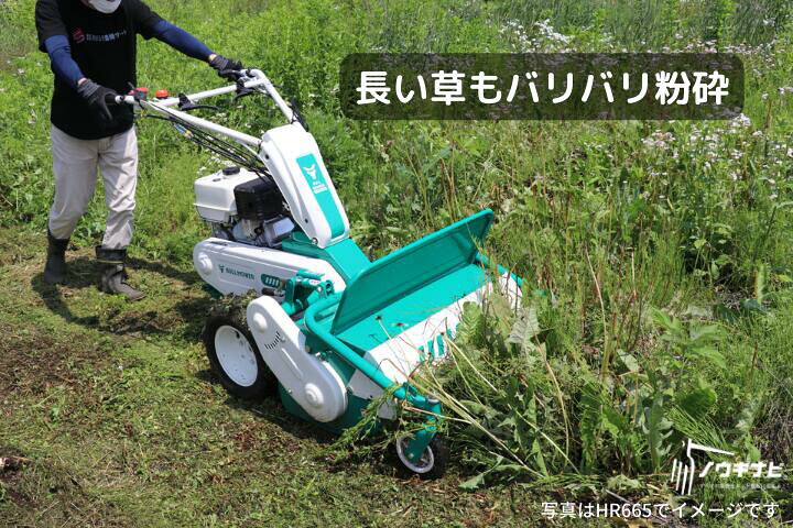 楽天市場】【在庫あり】4月末まで推奨オイルセットプレゼント中 