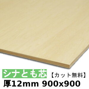 ؍  I Vicxj12mmx900mmx900mm_Jbg^ cxj Vi Ƃxj zAfqh
