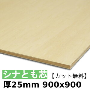 ؍  I Vicxj25mmx900mmx900mm_Jbg^ cxj Vi Ƃxj zAfqh