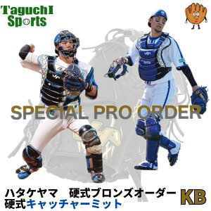【HATAKEYAMA】【2025 NEW オーダーシステム】ハタケヤマ スペシャルプロオーダー KB(硬式ブロンズオーダー) 硬式キャッチャーミット【代引きでは承れません】