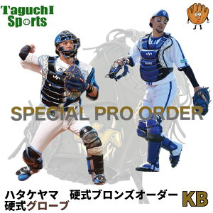 【HATAKEYAMA】【2025 NEW オーダーシステム】ハタケヤマ スペシャルプロオーダー KB(硬式ブロンズオーダー) 硬式グローブ 硬式グラブ【代引きでは承れません】
