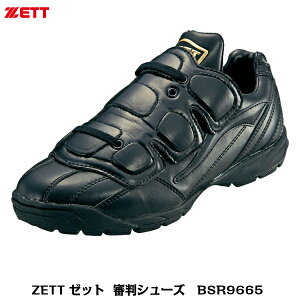 ZETT@[bg@싅Rp@ApCAp@RV[Y@BSR9665@ubN×ubN@25.0`29.0cmyRpiz