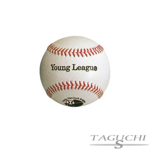 vۓcXbK[{[ ba51y{[z1_[X