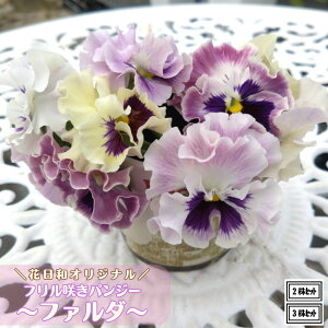 ubNtCf[ 20%OFFN[| t炫pW[ t@_ ԐF܂ 3.5|bgcԓaIWi rIc pW[c 񂹐A Ԓd