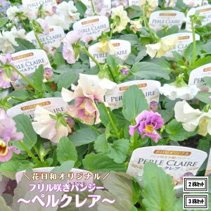 t炫pW[ yNA ԐF܂ 3.5|bgcԓaIWi rIc pW[c 񂹐A Ԓd