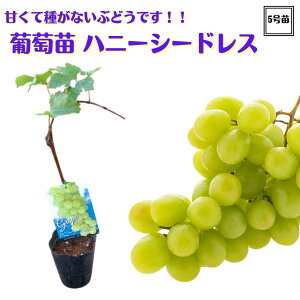 sԂǂ c nj[V[hX 2N} c 5|bgt io^i ʎc uhE  