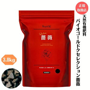 K戵X o  VR엿 oCIS[h ZNVKN 1kg / 3.8kg ǔp ΂ KN K[fjO Ō`엿 